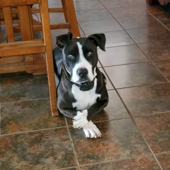 ░M░e░e░t░ ░t░h░e░ ░p░o░s░h░e░r░ - Picture 7 of 7